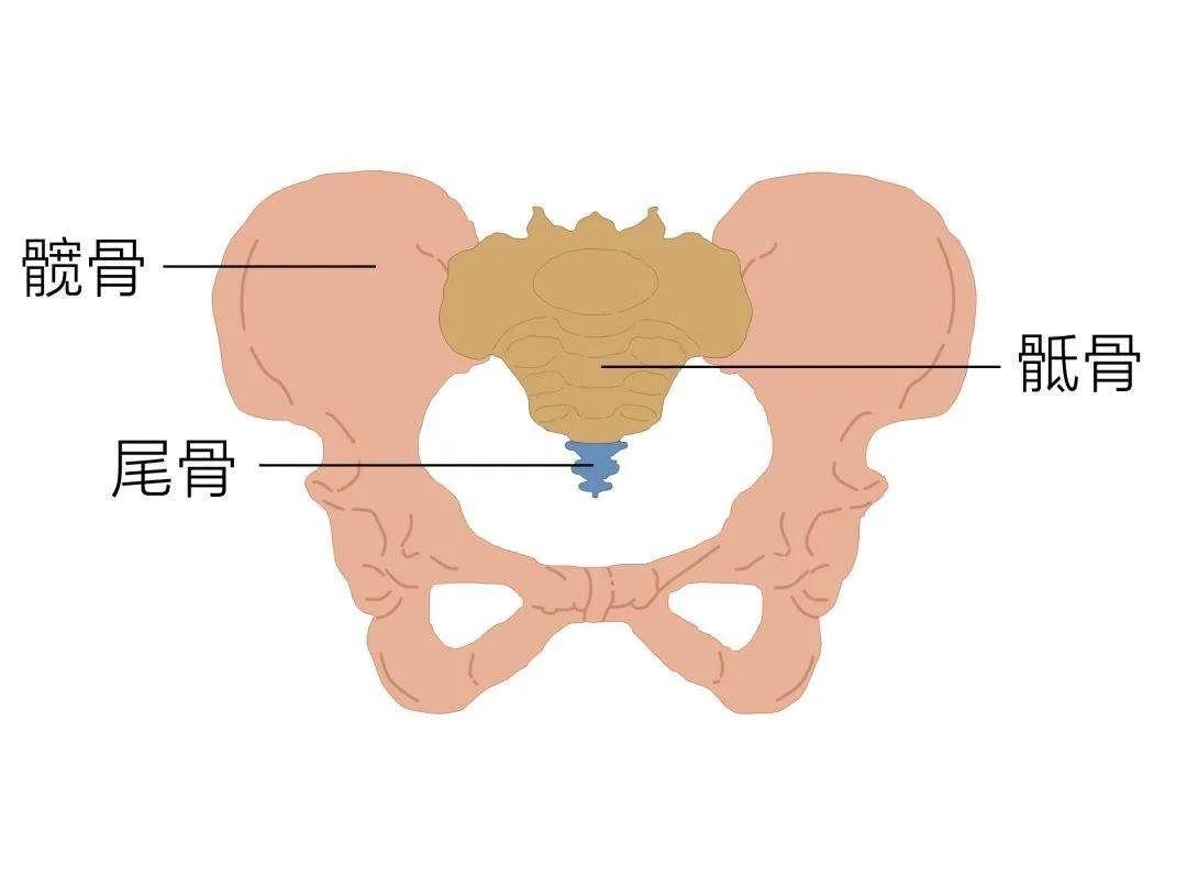 图源网络 图源网络